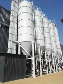 德興瓷磚膠廠家供應(yīng)——佛山市托肯建材有限責任公司，專注家具家居高品質(zhì)建材